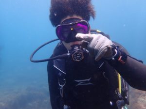 飛ぶキイロウミコチョウ