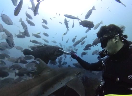 Snapshot_202506163_150603