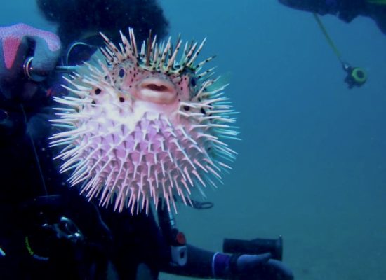 CE806FB0-5670-4B2F-A2CC-B898C898726E