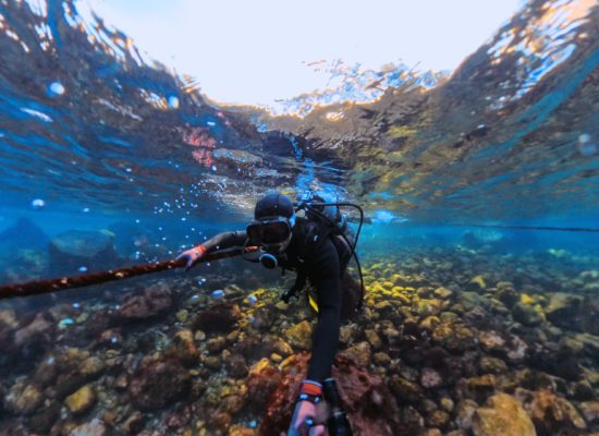 Snapshot_20260237_170228